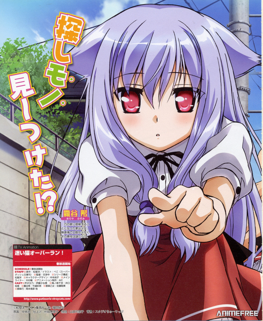 Нашествие бродячих кошек!