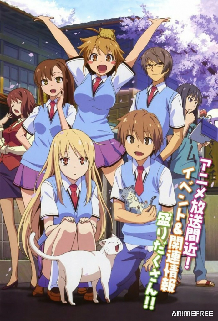 Кошечка из Сакурасо