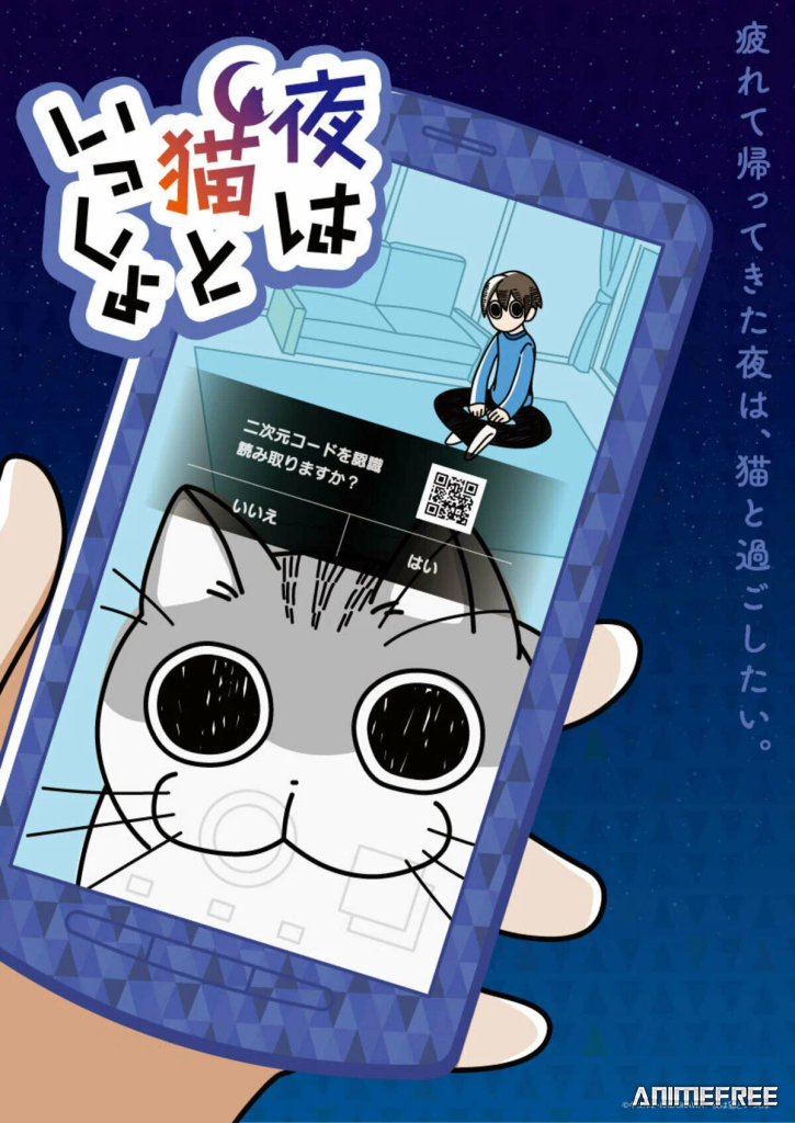 Вечера с кошкой