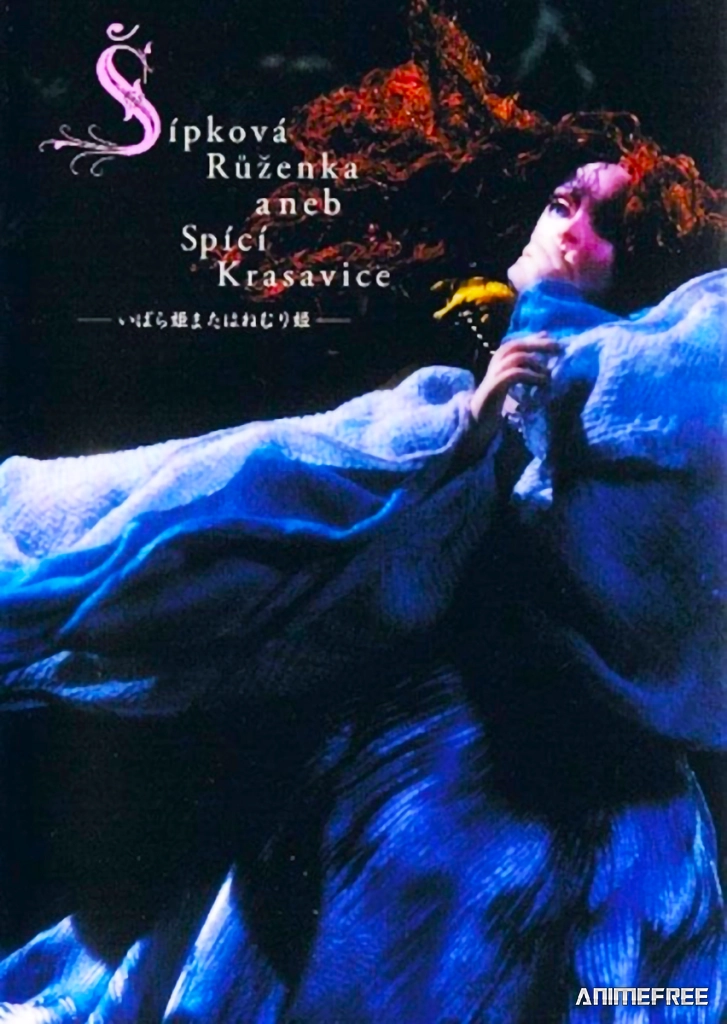 Спящая красавица